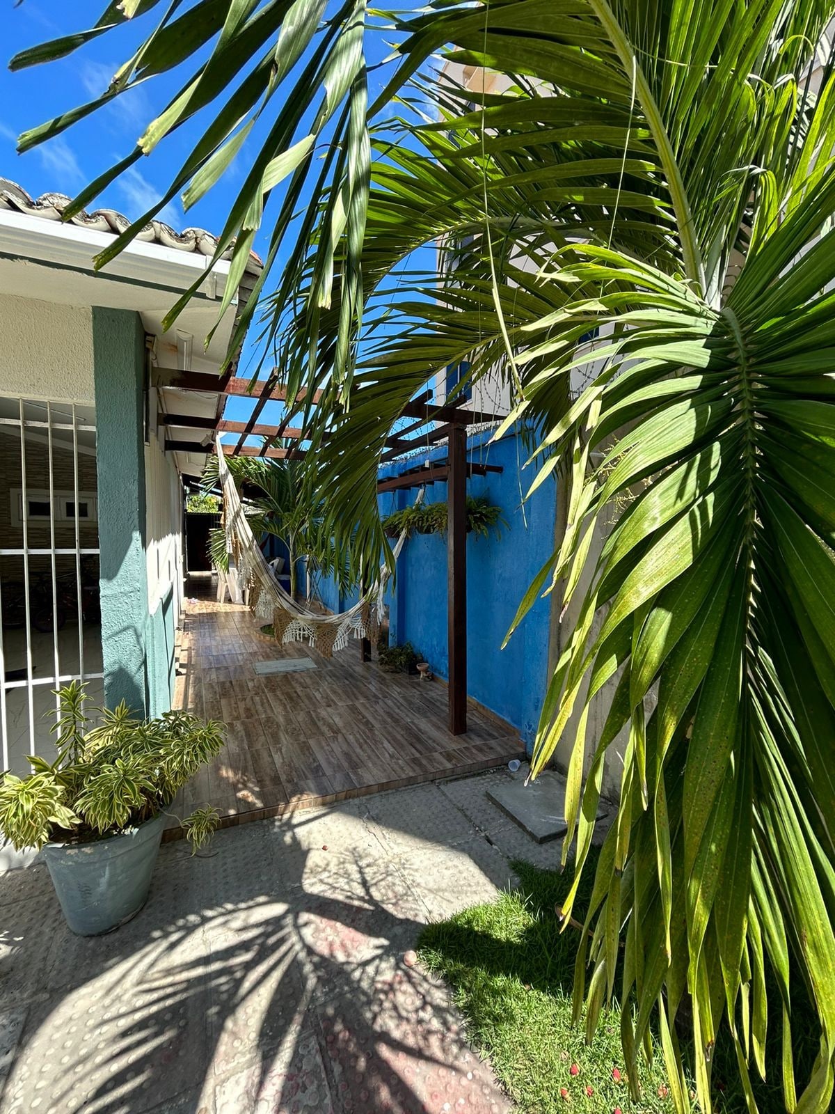 A vibrant outdoor space is visible, featuring a wooden patio area adorned with hanging hammocks. Lush green foliage frames a bright blue wall, while a well-maintained garden enhances the natural feel. Sunlight filters through trees, creating a warm ambiance.