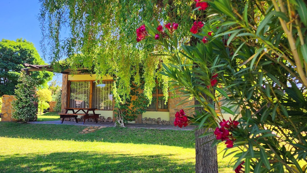 A rustic cabin is framed by lush greenery and vibrant flowers. The exterior features large windows allowing natural light to fill the space. A picnic table is situated on the lawn, providing a relaxed outdoor area amidst a serene landscape.