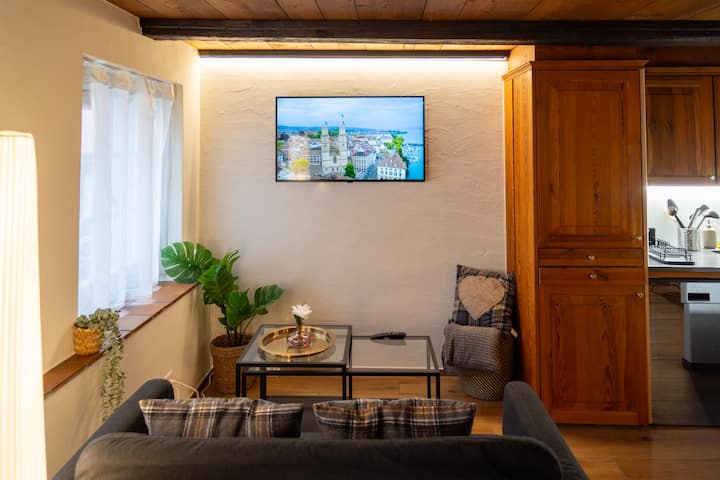 Rustic & Historic Renovated City Apartment - Kloten