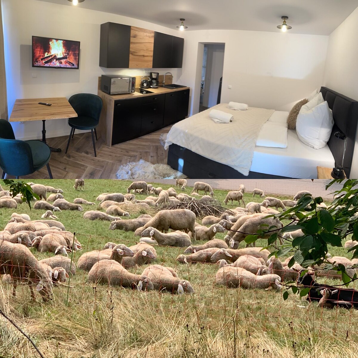 Successful Airbnb property: BergOase-Apart am Feldberg - Studio-Apartment in Feldberg (Schwarzwald)