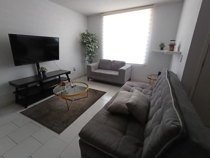 Casa Olivos Centro Sjr - San Juan del Río