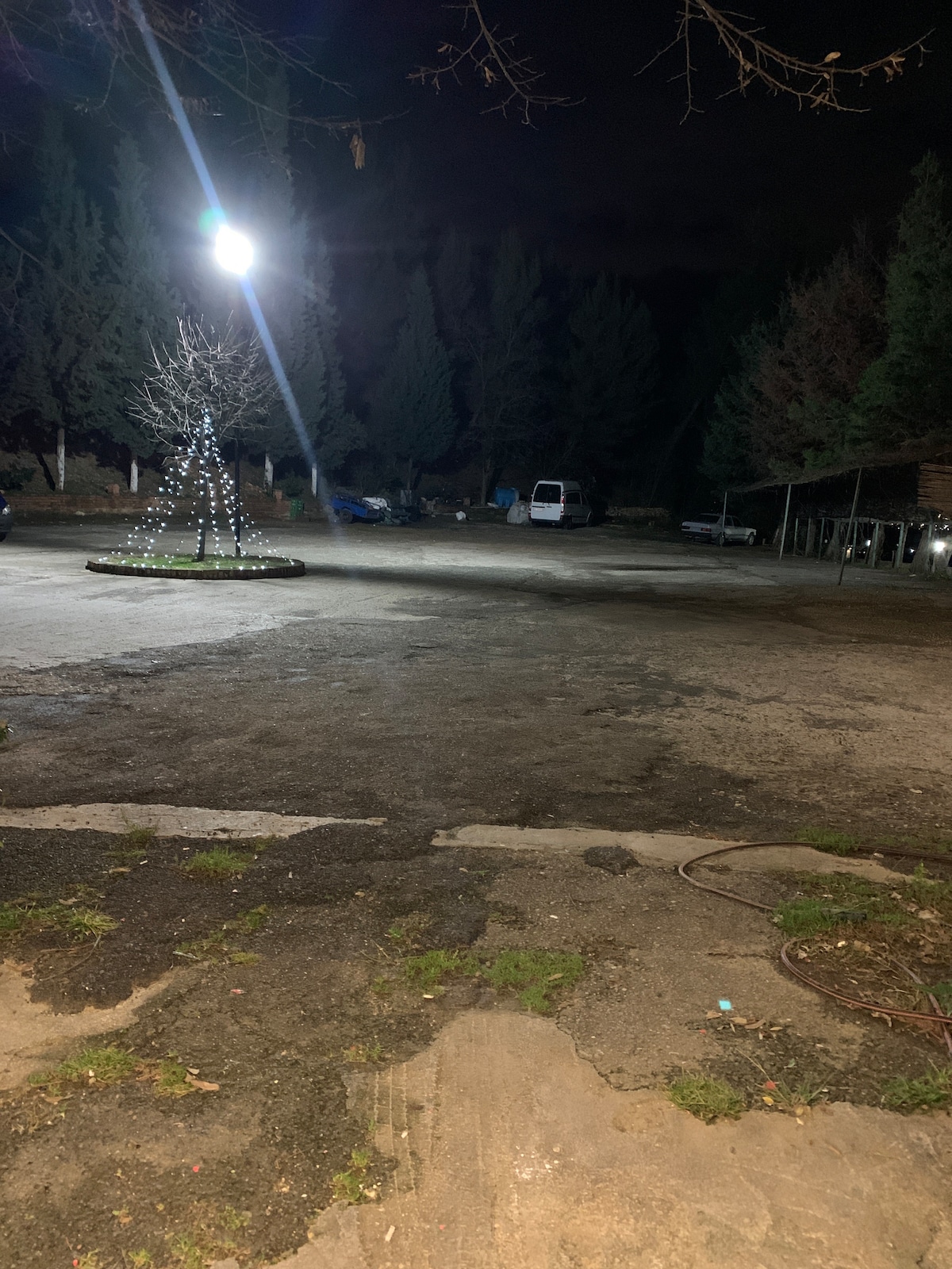 A spacious outdoor area is illuminated by a large overhead light, highlighting a tree adorned with small lights at the center. Vehicles are parked along the perimeter, surrounded by trees that create a natural backdrop.