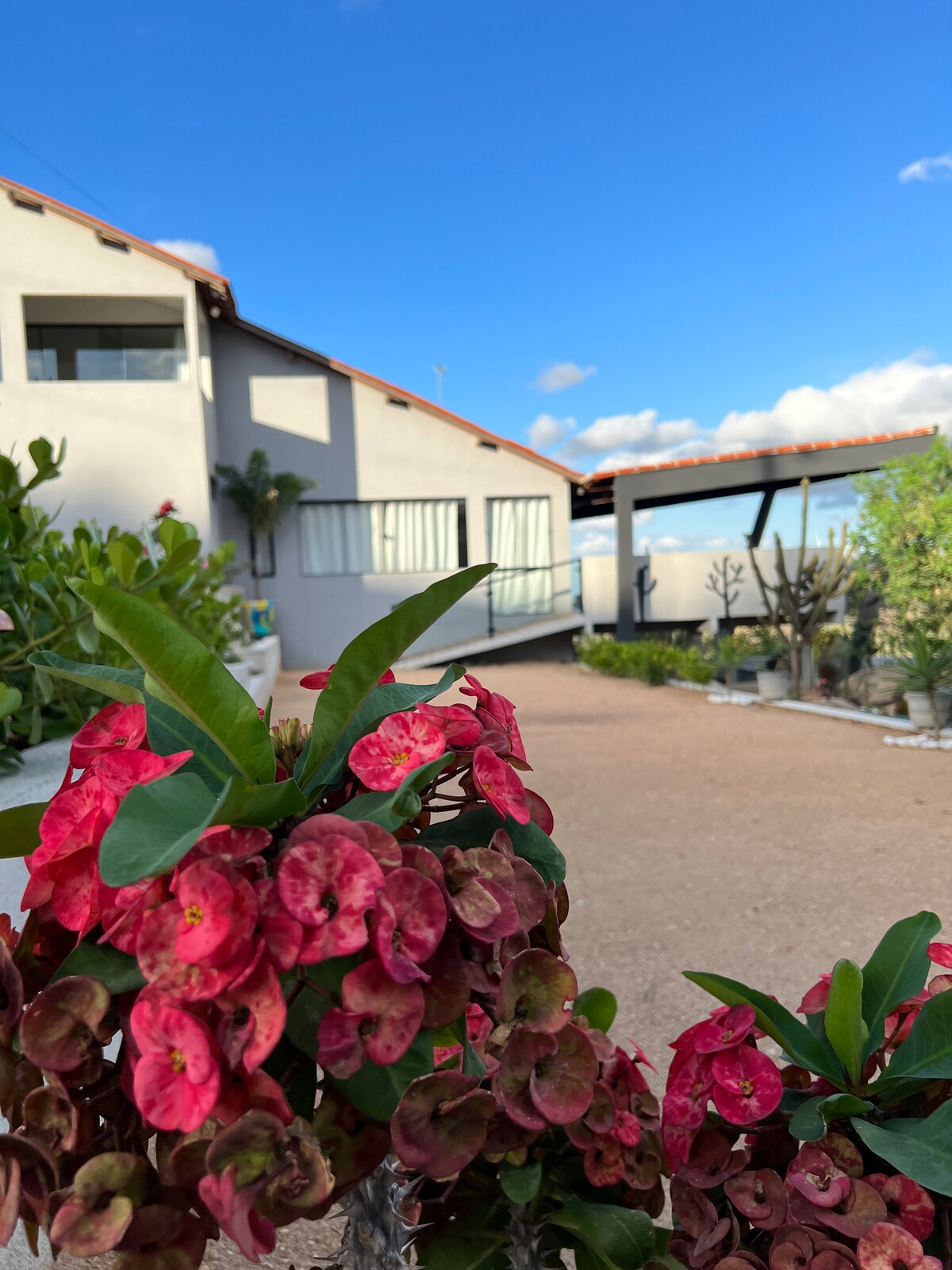A welcoming exterior view showcases a modern house with large windows and a covered entrance. Vibrant pink flowers in the foreground complement the lush greenery, while a clear blue sky provides a serene backdrop.