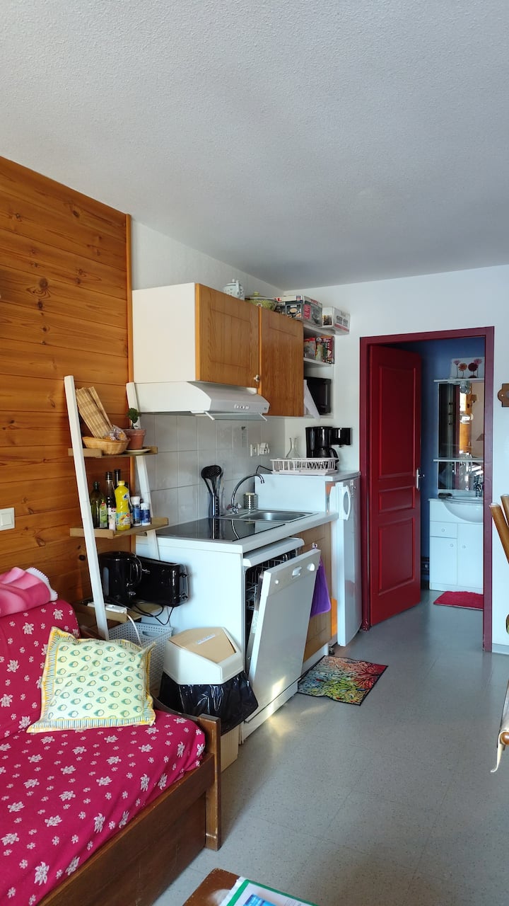 Appartement Station éTé/hiver Pelvoux 4 à 6 Pers - Ailefroide