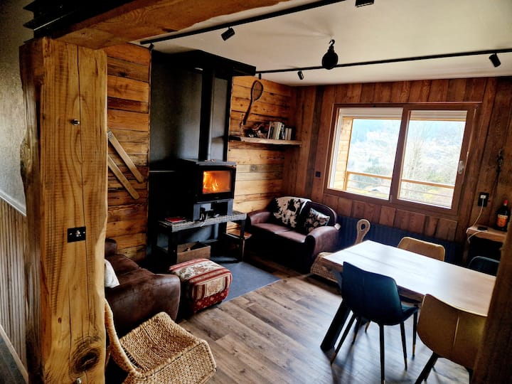 Vosges, Chalet Calme 4 Ch, Cinéma, Salle De Jeux. - Xonrupt-Longemer