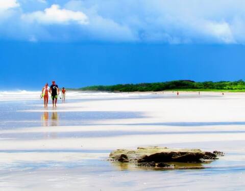 Playa Avellanas Treehouse