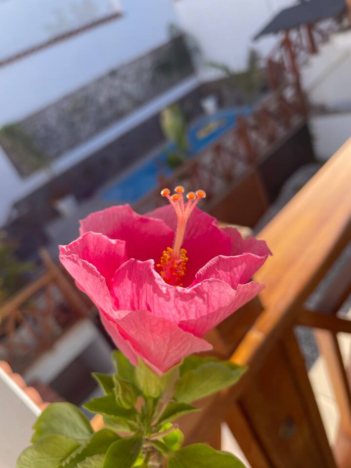 Dhomë gjumi