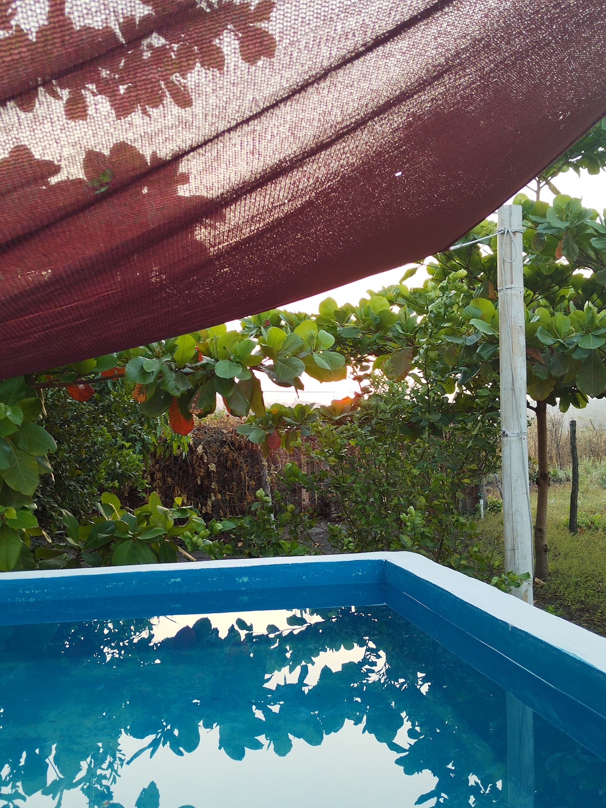 A blue pool reflects the surrounding greenery under a shaded area. A maroon sunshade hangs above, filtering sunlight and providing a comfortable spot. Lush plants and trees are visible in the background, enhancing the serene atmosphere of the outdoor space.