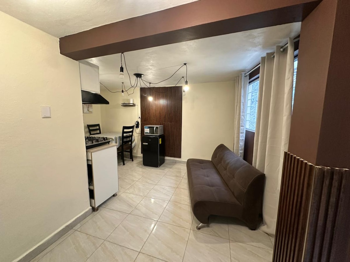 Successful Airbnb property: Mini loft near downtown in Toluca