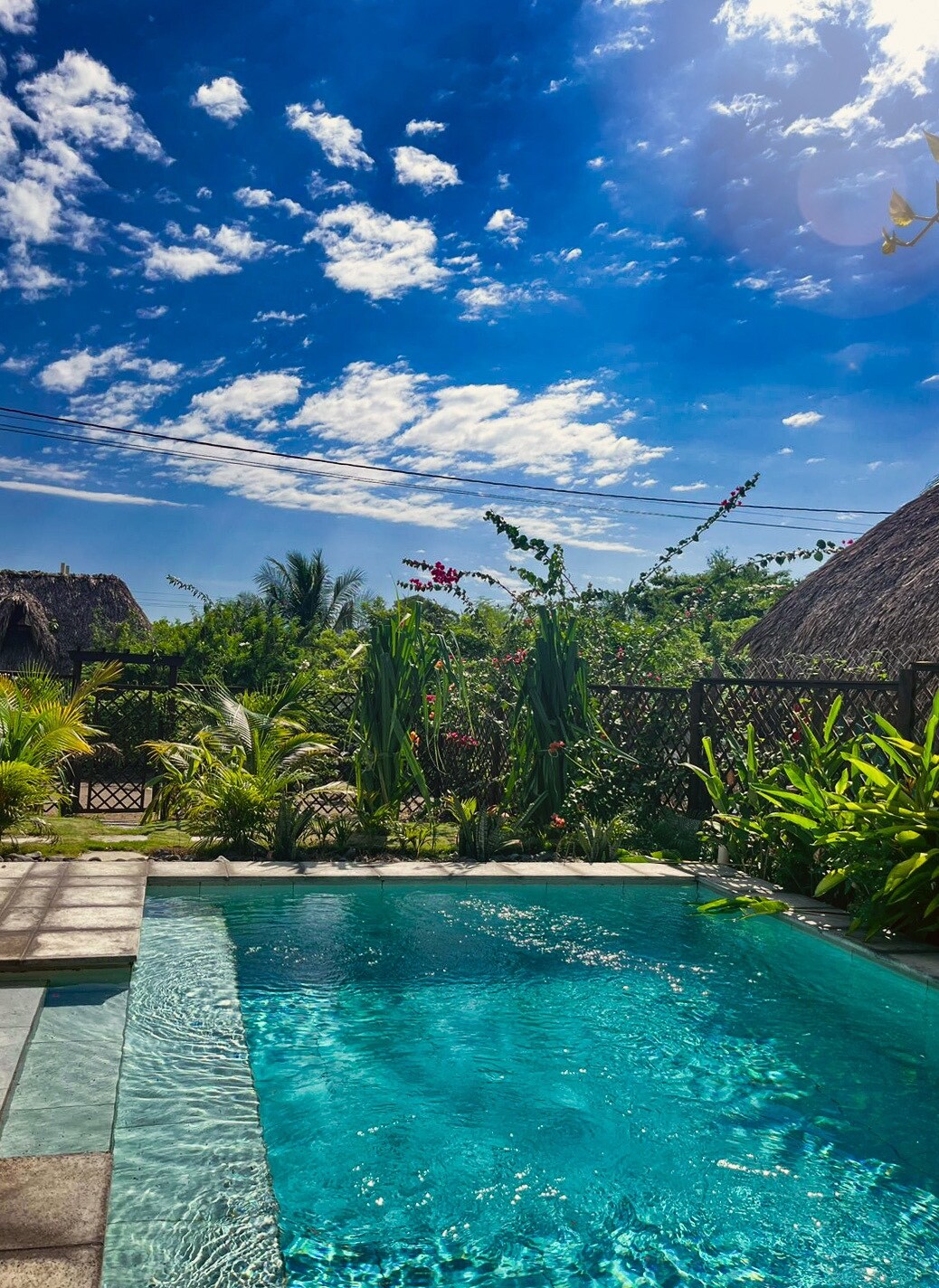A serene pool area is framed by lush greenery and tropical plants, with a clear blue sky overhead. Sunlight reflects off the water, creating a tranquil scene. Thatched-roof structures are visible in the background, adding to the natural ambiance.
