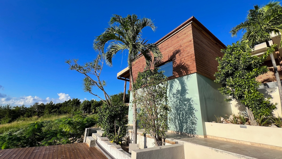 The modern bungalow is surrounded by lush greenery, featuring a combination of textured brick and painted walls. A large window offers views of the landscape, and palm trees are situated nearby, enhancing the tranquil outdoor setting under a clear blue sky.