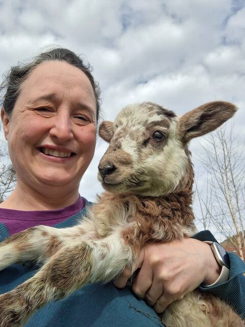 El Pajar, rustic apt. & gardens with sheep & hens