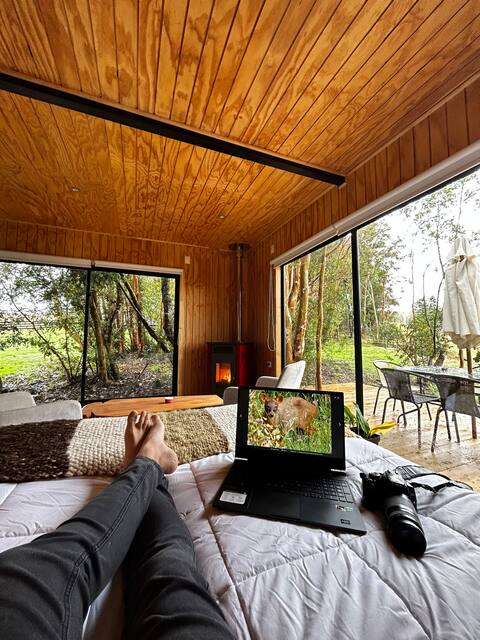 Cabin in the Bosque Chiloé