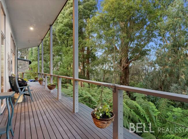 Home in the Forest gallery image 2