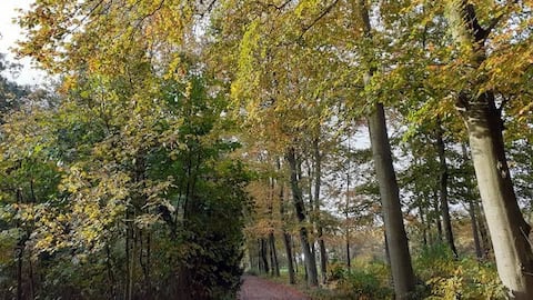 Romantic nature cottage time for each other!