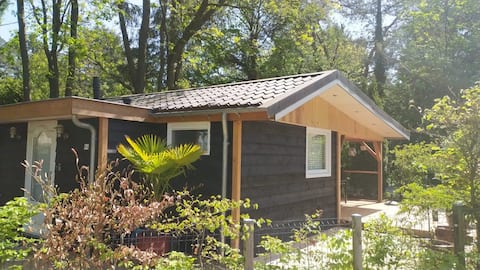 Stay in Chalet Skarven, surrounded by nature