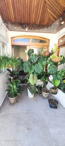 Penthouse with Private Pool in Copacabana Beach! gallery image 5