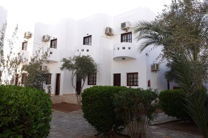 Greek Camp Dahab managed Airbnb listing 1