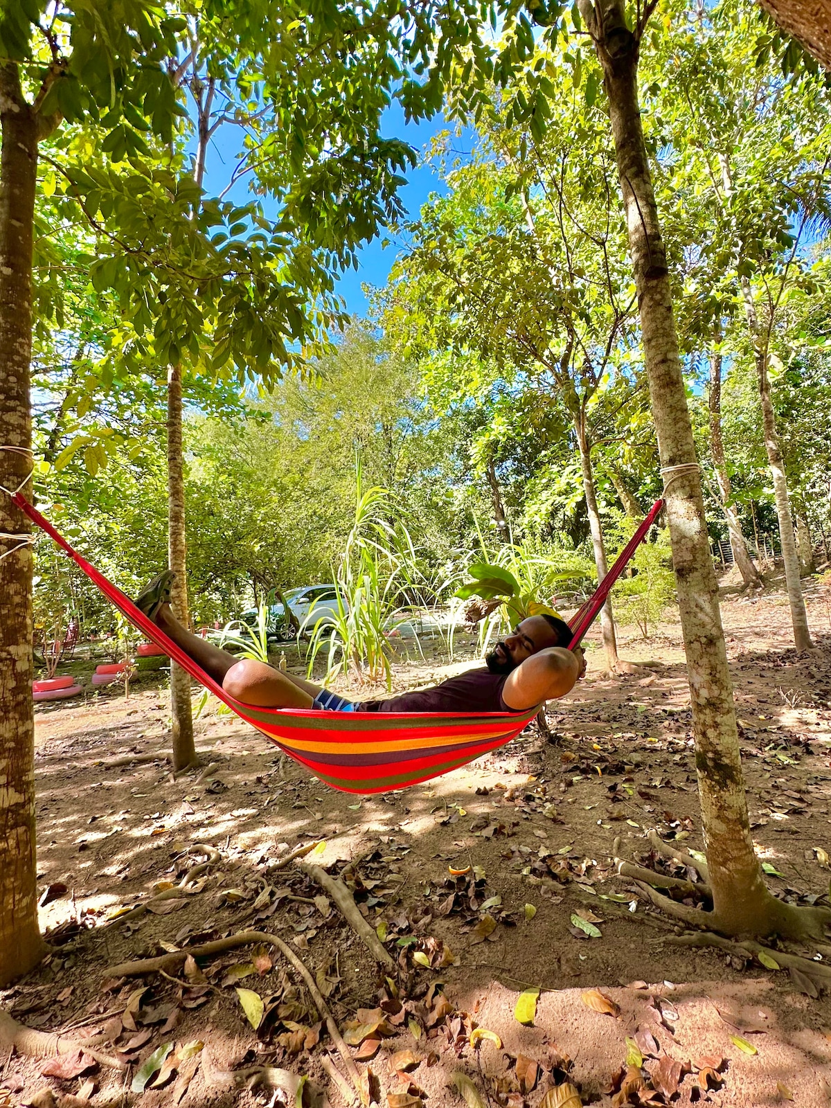 A colorful hammock is suspended between two trees, surrounded by lush greenery. Sunlight filters through the leaves, casting gentle shadows on the ground covered with fallen leaves. The peaceful outdoor setting invites relaxation and connection with nature.