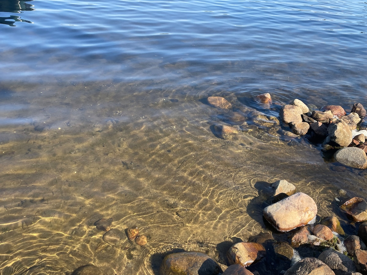 The serene water of Goodrich Lake is captured, revealing a clear view of the sandy bottom and scattered rocks along the shoreline. Sunlight reflects off the rippling surface, creating delicate patterns that enhance the tranquil ambiance of the lake.