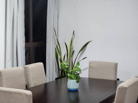 Comfortable downtown apartment