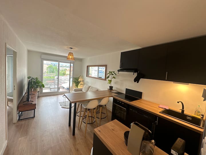 Appartement / Terrasse / Ac (Nice Riquier) - 빌르프헝슈-슈흐-메흐