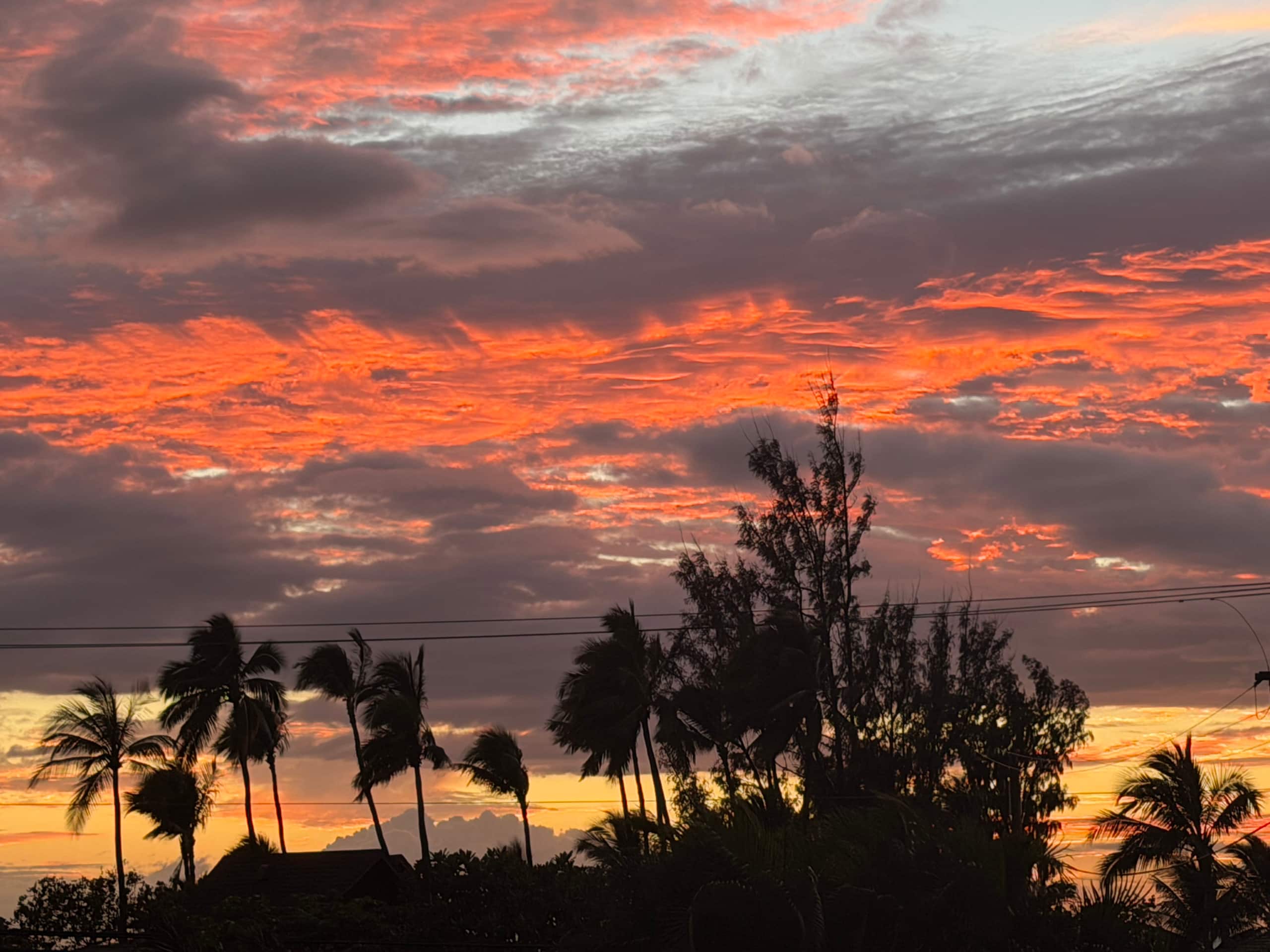 Condo in Kihei · ★4.81 · 1 bedroom · 2 beds · 1 bath - Image 35