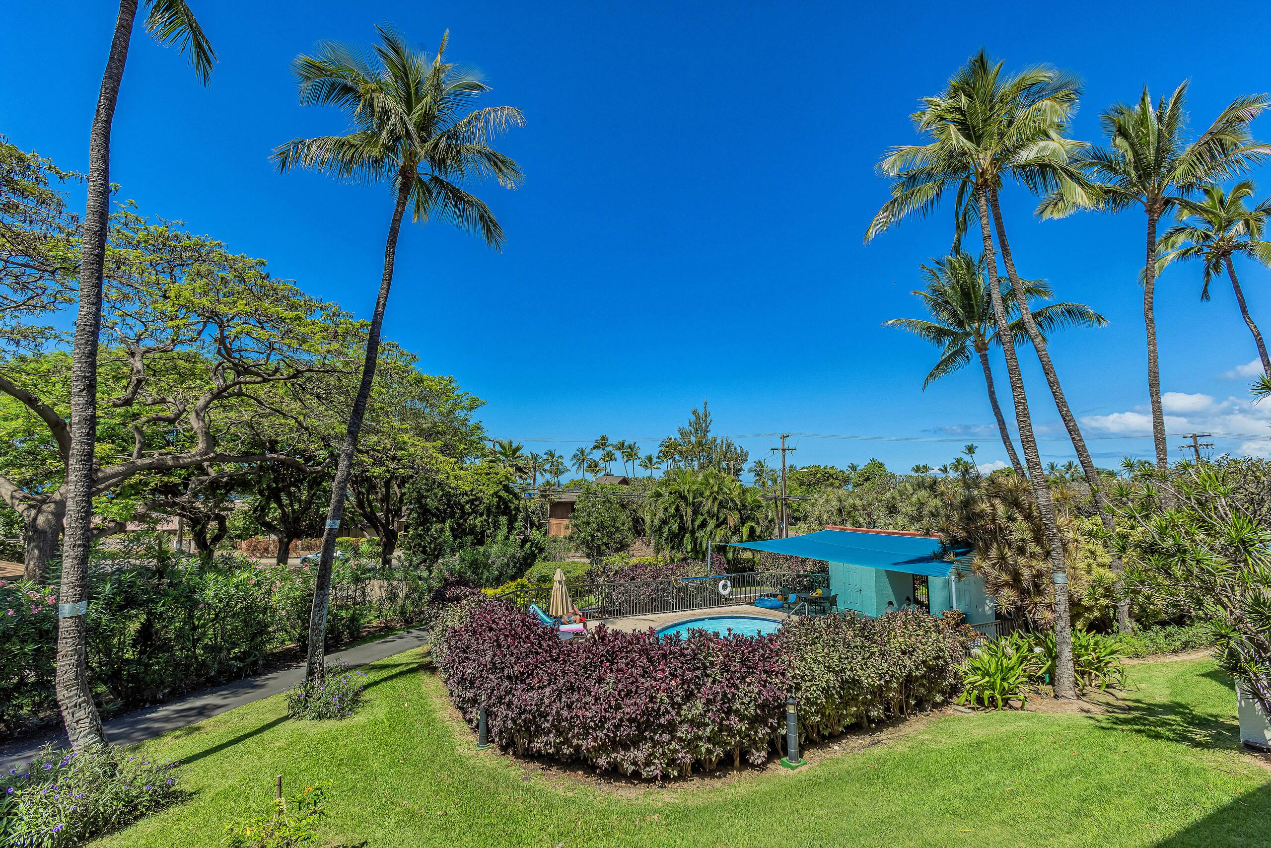 Condo in Kihei · ★4.81 · 1 bedroom · 2 beds · 1 bath - Image 41