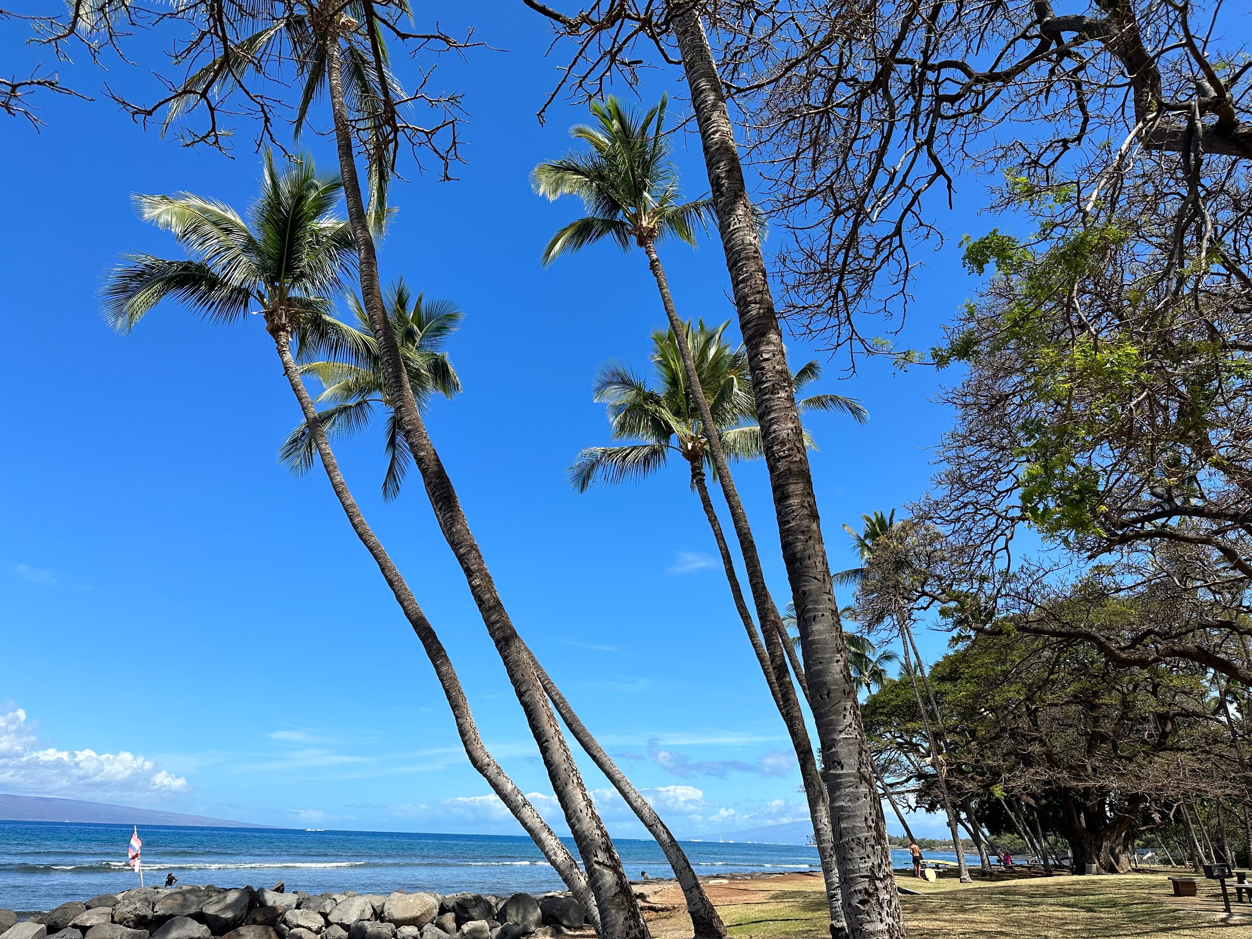 Condo in Kihei · ★4.81 · 1 bedroom · 2 beds · 1 bath - Image 29