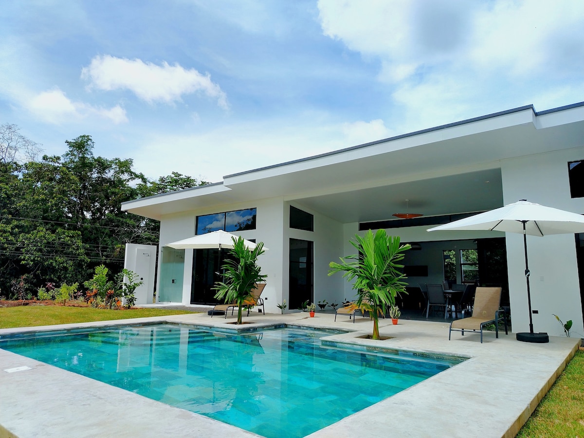 A modern villa is presented with a private pool features surrounding lush greenery. Umbrellas provide shade over poolside lounge chairs. The house showcases large glass windows and doors, allowing natural light to fill the spacious interior while seamlessly connecting with the outdoor area.