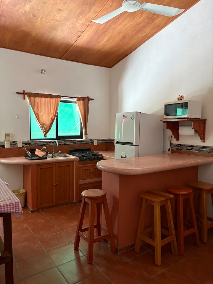 Departamento Gema Centro - Zihuatanejo