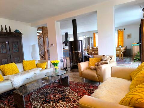 Top performing Airbnb: Vacation home, 380 m2, hot tub, lake view, sandy beach in Horní Planá