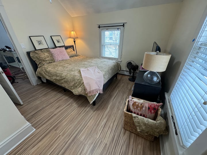 Dormitorio principal con TV y acceso a Roku.  Ventilador de techo y persianas oscuras y persianas y persianas