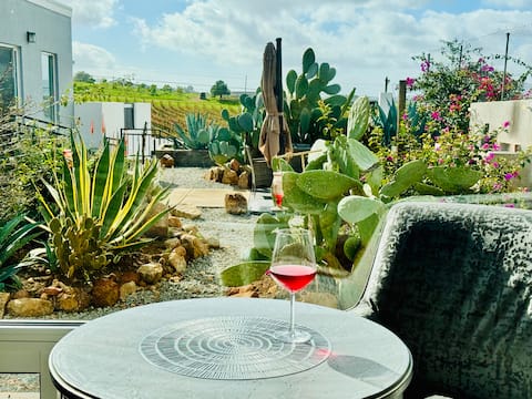 Vineyard Sunset - Valley of Guadalupe