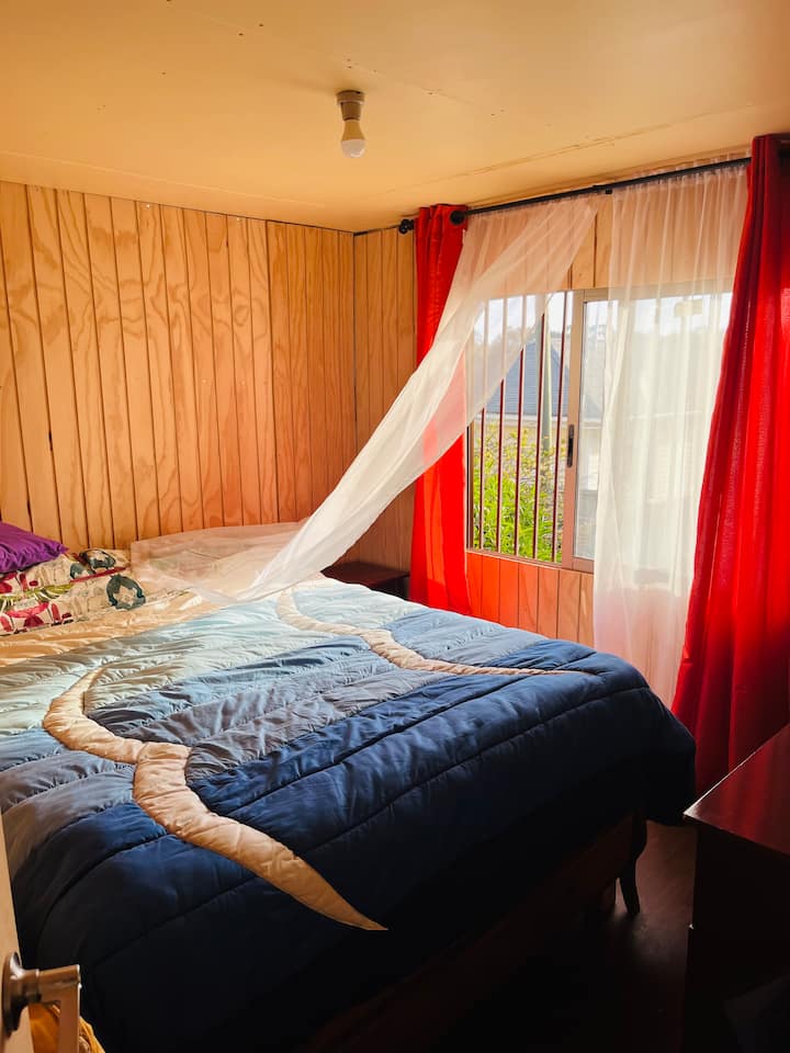 Part No.2 - 1 Bed of 2