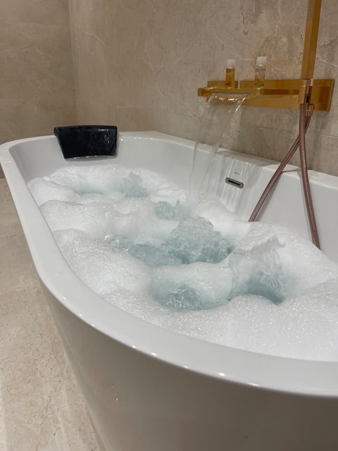 Maison Villeurbanne centre Jacuzzi