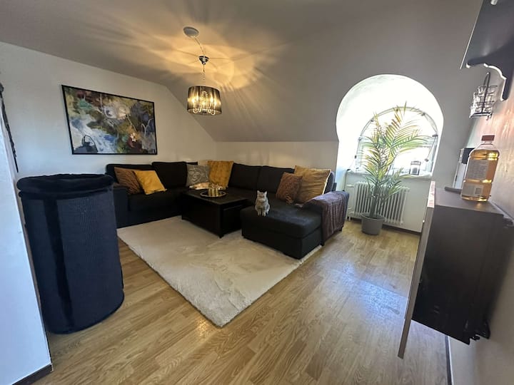 Mysig Lägenhet Fullt Möblerad - Linköping