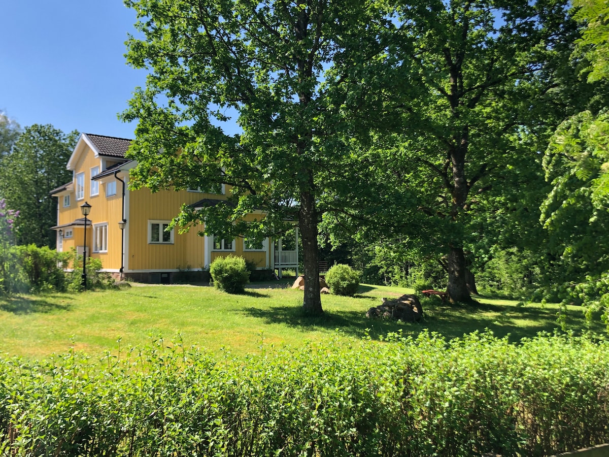 A large yellow house surrounded by a lush green lawn and mature trees. The expansive outdoor area features well-maintained shrubs and grass, with a clear view of the home's windows reflecting natural light. A sense of space and tranquility is evident in the setting.