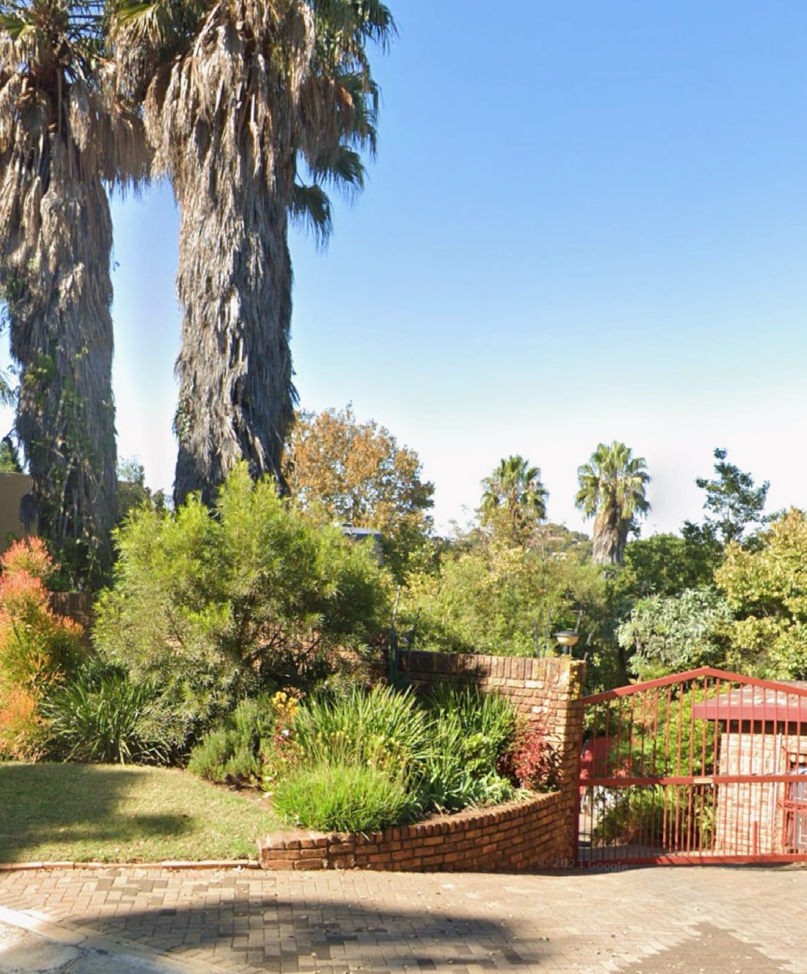 A spacious entrance is framed by tall palm trees, with greenery providing a natural backdrop. The property features a red gate leading into the area, surrounded by blooming shrubs and plants that enhance the welcoming environment.