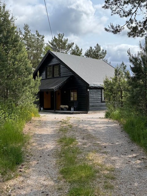 Family-Friendly Cabin in the Mountains