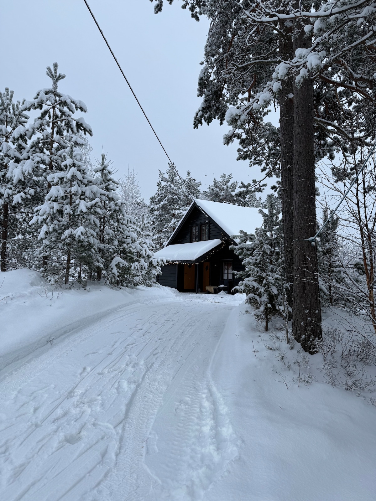 A charming black cabin is nestled among snow-covered trees, with a path leading up to the entrance. The ground is blanketed in fresh snow, and a quiet, serene atmosphere is present, inviting relaxation in the winter landscape.