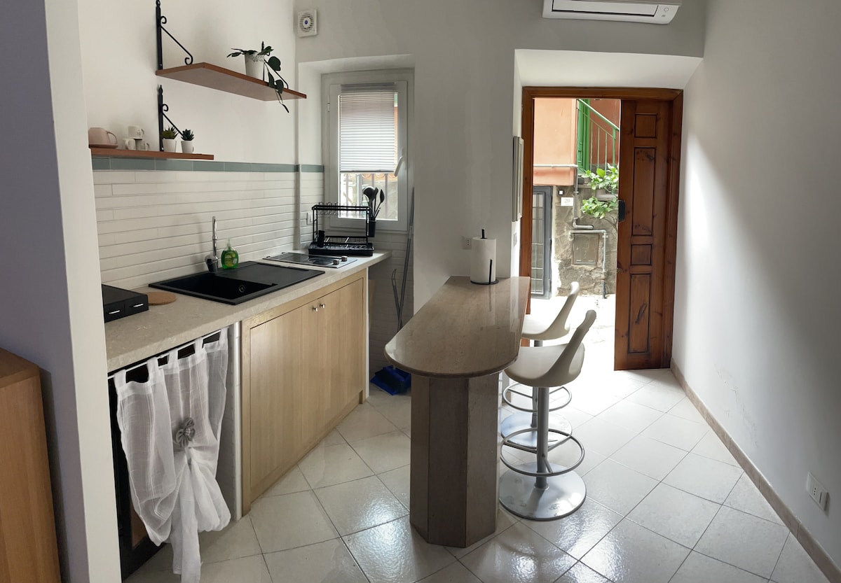 A compact kitchenette features a black induction stove and wooden shelves adorned with plants. A small dining counter with bar stools is visible, while a doorway leads to an outdoor area, allowing natural light to enter the space.