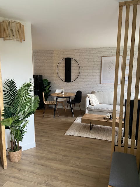 Superb T1 bis Blagnac center/Airport/air-conditioned