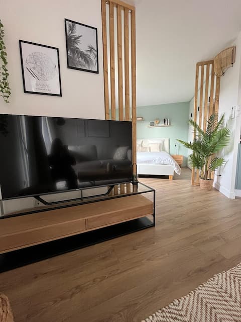 Propriété Airbnb réussie: Cozy 1-bedroom apartment in Blagnac – Air conditioning, parking, tram/airport à Blagnac