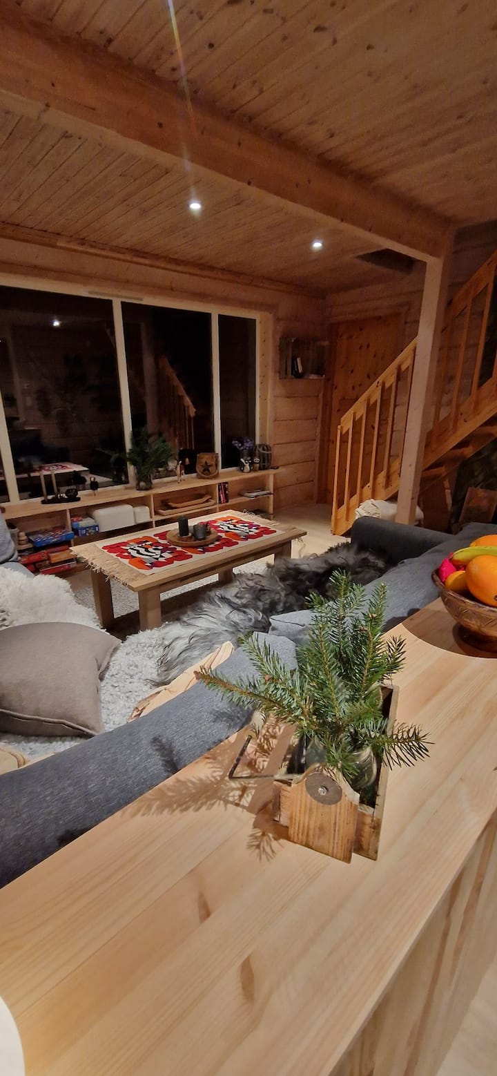Cozy Cabin With Great View - Røldal