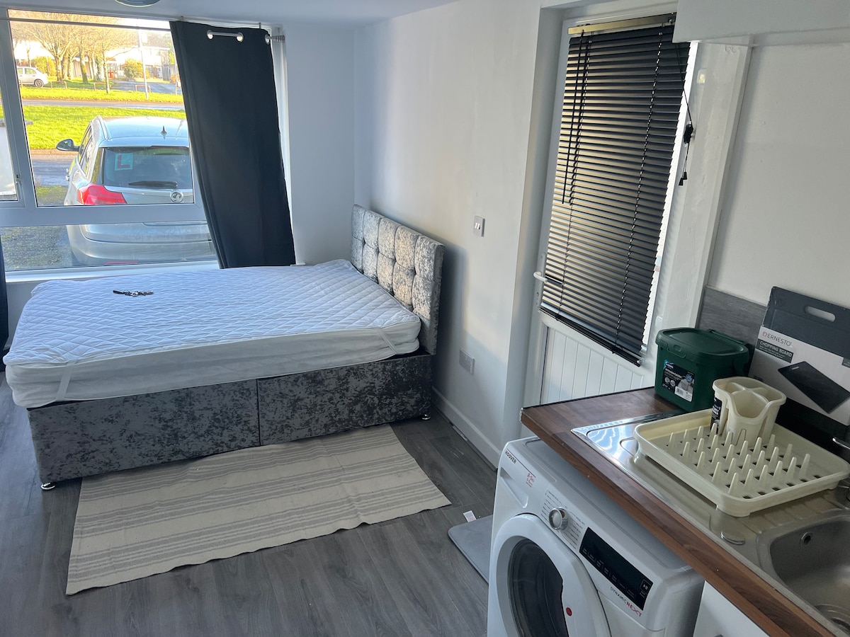 A compact living space features a spacious bed with a gray upholstered headboard, positioned near a window covered with a partial curtain. A laundry machine is situated beside a small kitchenette equipped with dishes, while a striped rug adds a touch of comfort to the wooden floor.