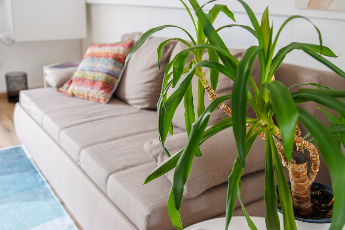 Popular Airbnb listing: Home away from home in Hochsauerlandkreis