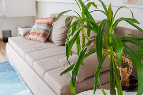 Beliebte Airbnb-Anzeige: Home away from home in Hochsauerlandkreis