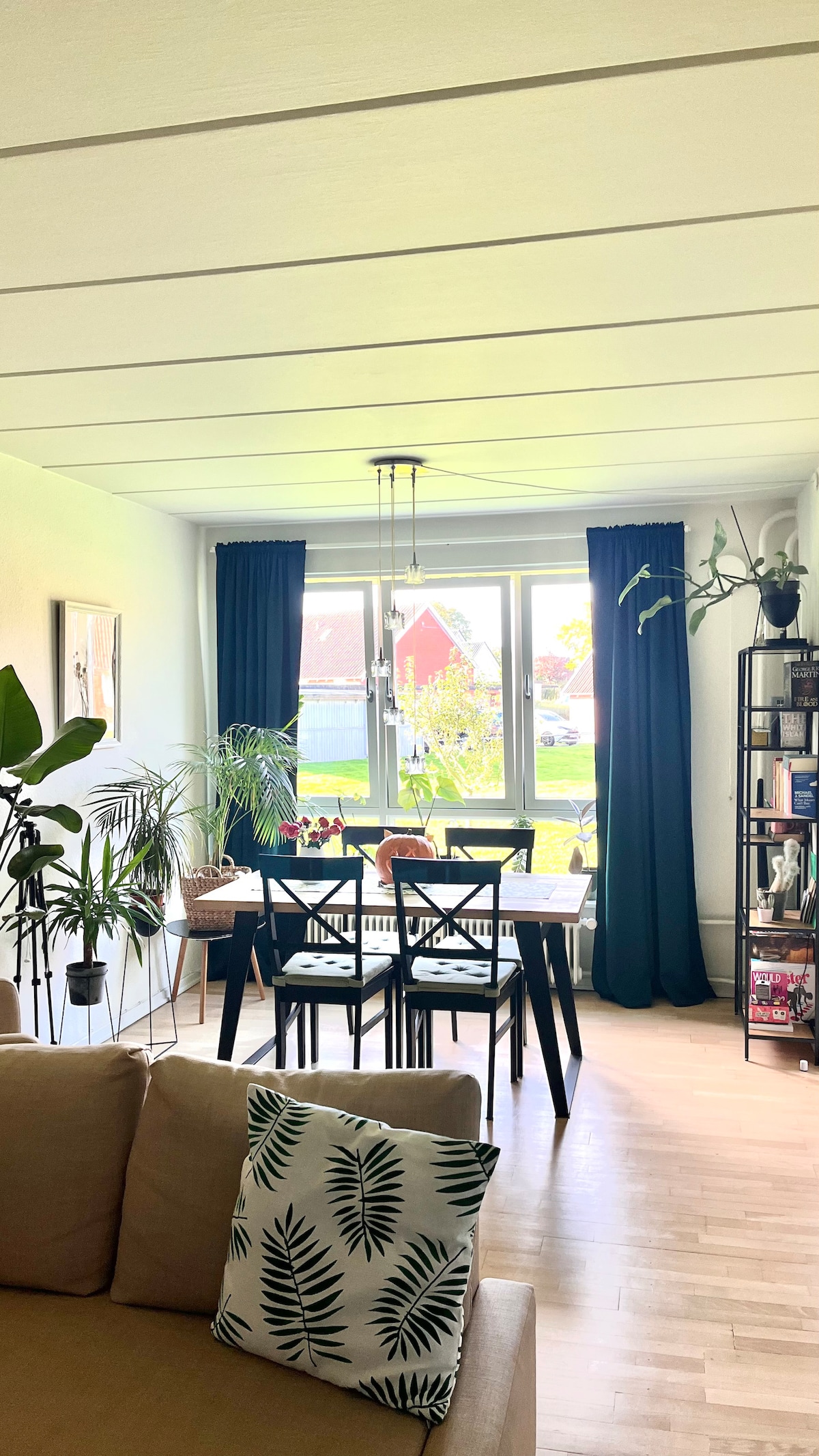 A bright living area features a dining table with four chairs positioned near a large window adorned with dark curtains. Various indoor plants add greenery to the space, complemented by a shelf filled with books and decor. A cozy sofa with a patterned cushion is also visible.