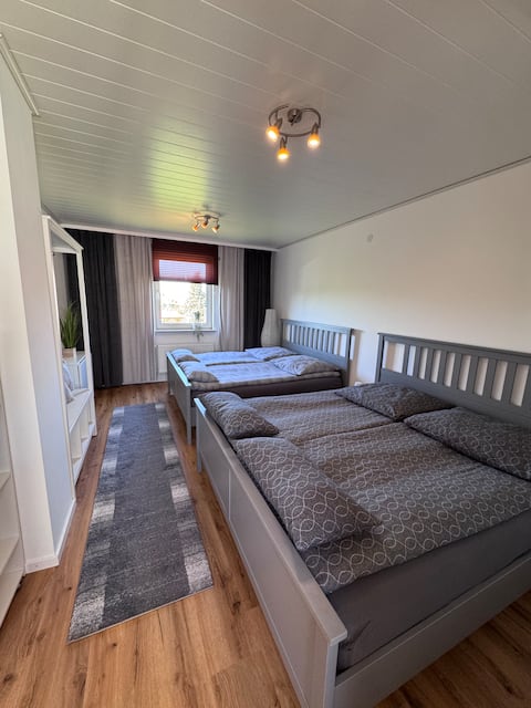 Cozy apartment in Haßloch